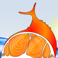 100 Warm Tunas