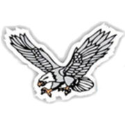 123 Income Tax Software