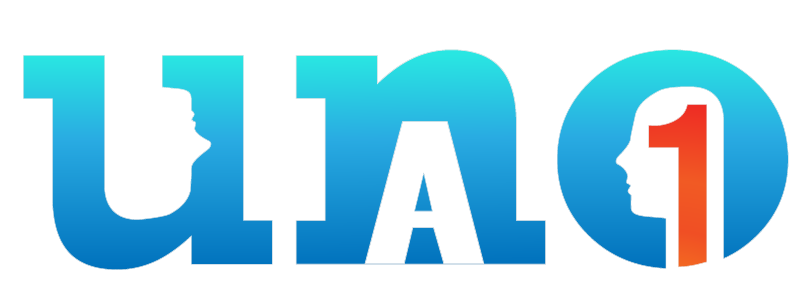 1a1
