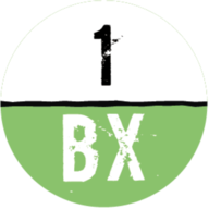 1BX.host
