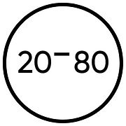 20-80