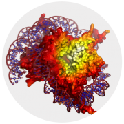 3D Protein Imaging