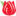 巴金森寶典
