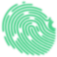 5WS
