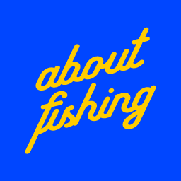 About Fishing