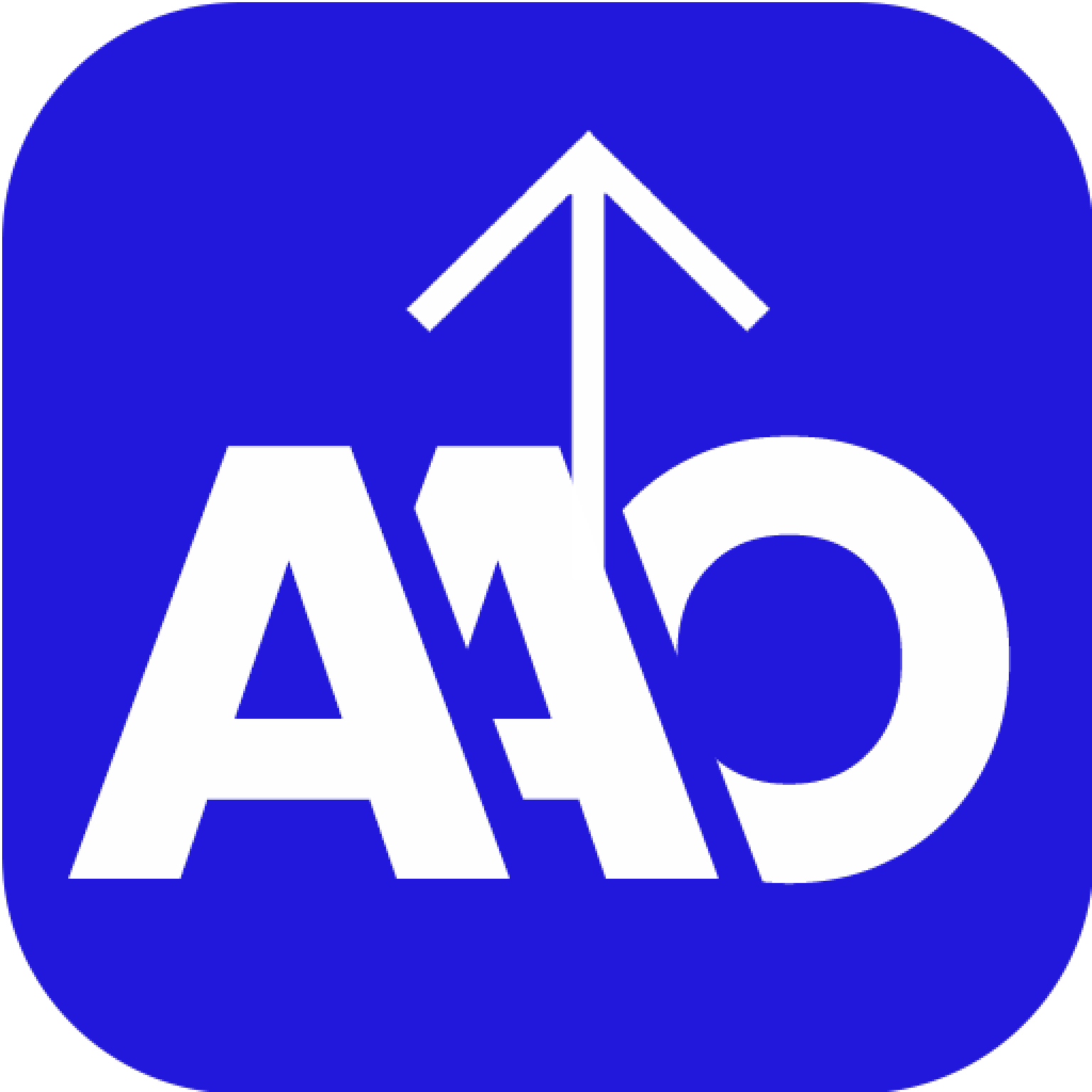 AccessAbility Officer