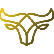 Aceset Securities