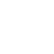 ACHgenie