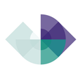 Active Insight