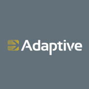 Adaptive Micro Systems