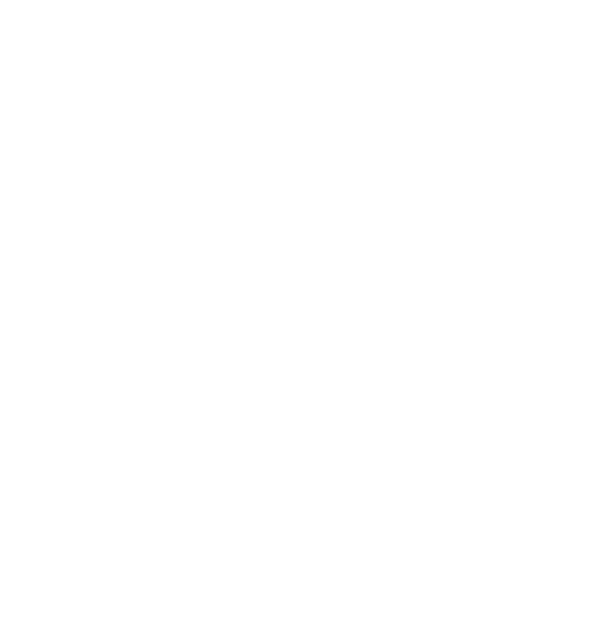 AdRise