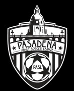 Adult Soccer League
