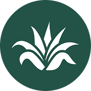 Agave Health