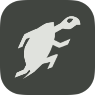 Agile Tortoise