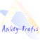 Agility-Profis