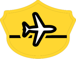 Airport Taxi Hub