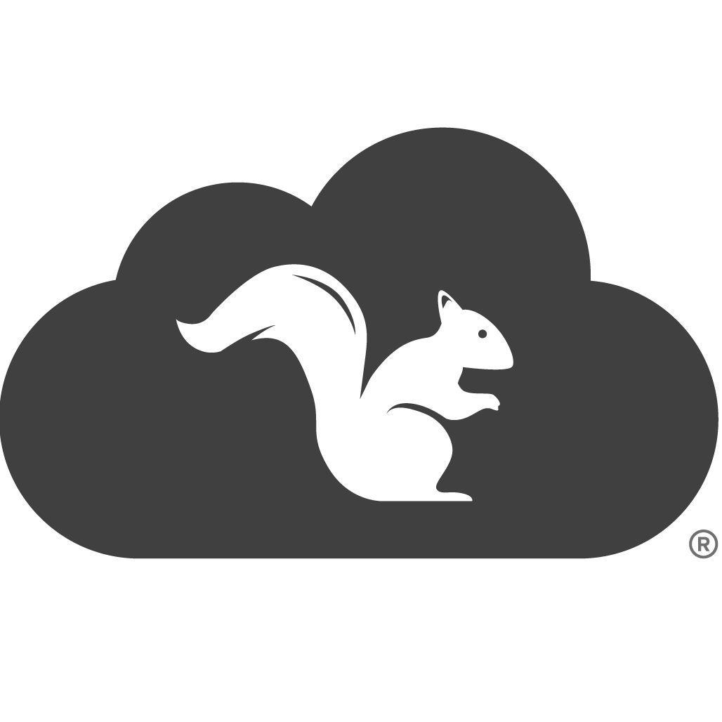 Squirrels