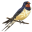 ImageCanvas