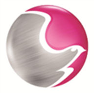 Alacer Software