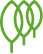 Álamo