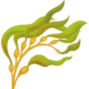 AlgaeTraits