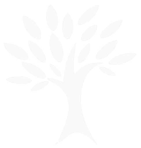 Alora Finance