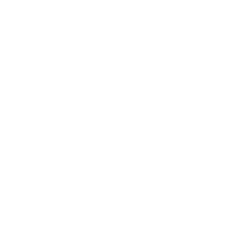 Alpin Capital