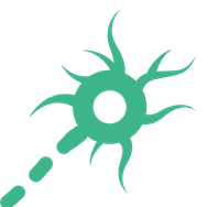 ALSFRS-R.net