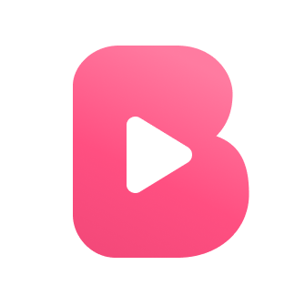 비디 (VIDI)