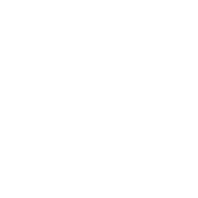 Always Connect AI