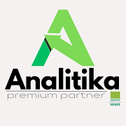 Analitika