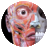 Anatomy 3D Atlas