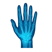 AnatomyIQ