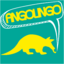 Angolingo