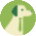 Anicom Jobs Plus