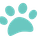 Animals First