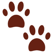 Animal Sounds for Kids