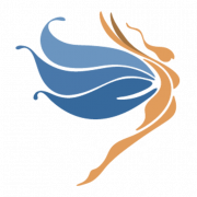 Anjana Data