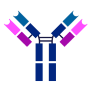 Antibody Lexicon