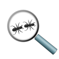 Antkeeping.info