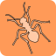 AntSoft