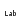 An Uncommon Lab