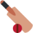 API Cricket
