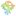 FERAZ ERP