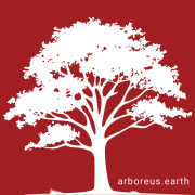 Arboreus.earth
