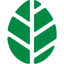 Arborium