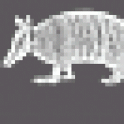 Armadillo Systems