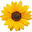 Aroyi