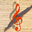 Arpege Musique