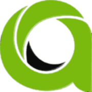Asia Virtual Solutions